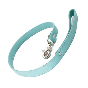 The Zoë Ligon x The Stockroom Limited Edition 2' Leash is shown against a blank background. The leash is made of a strip of mint green leather with a wrist loop on one end and a metal snap hook on the other.