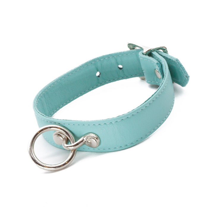 The Zoë Ligon x The Stockroom Limited Edition Premium Garment Leather Collar is shown against a blank background. It is made of a medium-width strip of mint green leather with silver hardware. The collar has a dangling O-ring in the center.