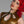 Load image into Gallery viewer, A close-up of a woman with bright red hair wearing the Tami Latex Dress in pearl gold is shown in front of a grey backdrop. There is turquoise trim lining the edges of the cutouts and collar.
